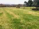 Vente Terrain Cadillac-en-fronsadais  33240 497 m2