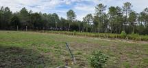 Vente Terrain Pontenx-les-forges  40200 593 m2