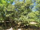 Vente Terrain Grignan  26230 1500 m2
