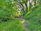 Vente Terrain Tourrettes  83440 4000 m2