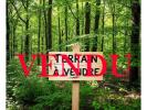 Vente Terrain Beganne  56350 22245 m2