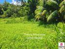 Vente Terrain Trinite  97220 11914 m2