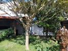 Vente Maison Fontenay-le-comte  85200 6 pieces 116 m2