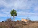 Vente Terrain Caux  34720 32767 m2