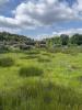 Vente Terrain Salaunes  33160 556 m2