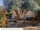 Vente Maison Juvignac  34990 3 pieces 50 m2