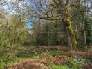 Vente Terrain Priziac 56320 6700 m2