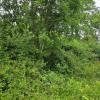 Vente Terrain Saint-remy-les-chevreuse  78470 700 m2