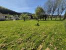 Vente Terrain Colroy-la-roche  67420 799 m2