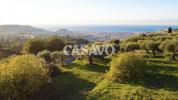Vente Terrain Nice  06100 3337 m2