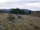 Vente Terrain Banyuls-dels-aspres  66300 9000 m2