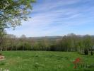 Vente Prestige Montcharvot  52400 10 pieces 228 m2