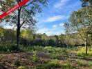 Vente Terrain Villamblard  24140 7100 m2