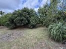 Vente Terrain Ravine-des-cabris  97432