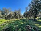 Vente Terrain Thoronet 83340 2214 m2