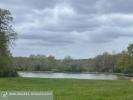Vente Prestige Chaumont-sur-tharonne  41600 8 pieces 324 m2