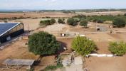 Vente Prestige Servian  34290 12 pieces 380 m2