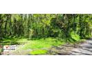 Vente Terrain Guerande  44350 5754 m2