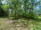 Vente Terrain Trans-en-provence  83720 7530 m2