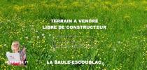 Vente Terrain Baule-escoublac  44500 459 m2