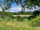 Vente Terrain Verdon-sur-mer 33123 1002 m2
