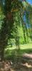 Vente Terrain Fronton  31620 629 m2