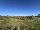 Vente Terrain Pout  33670 530 m2