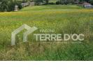 Vente Terrain Empeaux  31470 500 m2
