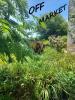 Vente Maison Bergerac  24100 10 pieces 240 m2