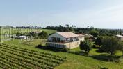 Vente Maison Saint-ciers-sur-gironde  33820 9 pieces 364 m2
