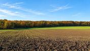 Vente Terrain Jeu-les-bois  36120 32767 m2