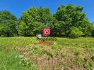 Vente Terrain Bazas  33430 14321 m2