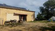 Vente Terrain Saint-jean-pla-de-corts  66400 20959 m2