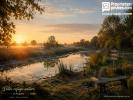Vente Terrain Aubers 59249