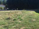 Vente Terrain Marsas 33620 605 m2