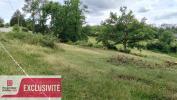 Vente Terrain Brive-la-gaillarde  19100 4710 m2