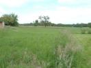 Vente Terrain Laubach  67580 3027 m2