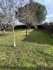Vente Terrain Carignan-de-bordeaux  33360 482 m2