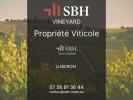 Vente Prestige Roussillon  84220