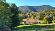 Vente Maison Sainte-marie-aux-mines  68160 5 pieces 230 m2
