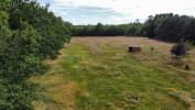 Vente Terrain Villefranche-sur-cher  41200 9000 m2