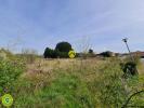 Vente Terrain Chatillon-sur-indre  36700 2993 m2