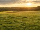 Vente Terrain Bonnoeuvre VALLONS-DE-L'ERDRE 44540 380 m2