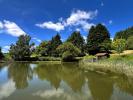 Vente Terrain Sarlande  24270 4 pieces 12839 m2