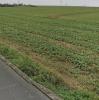Vente Terrain Perigny  17180