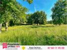 Vente Terrain Brinay  18120 13 pieces 1238 m2
