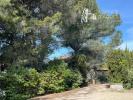 Vente Terrain Arles  13200 4 pieces 3575 m2