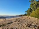Vente Immeuble Lanton  33138 140 m2