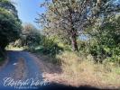 Vente Terrain Palaja  11570