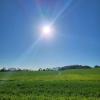 Vente Terrain Ayguesvives 31450 700 m2